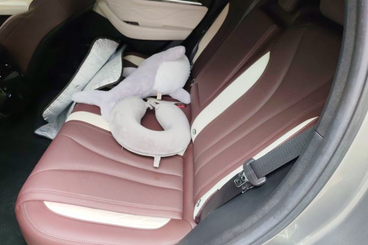 Used Geely Auto Monjaro L 2024 2.0TD High-Power Automatic Two-Wheel Drive Skyline Edition Left Rear Seat