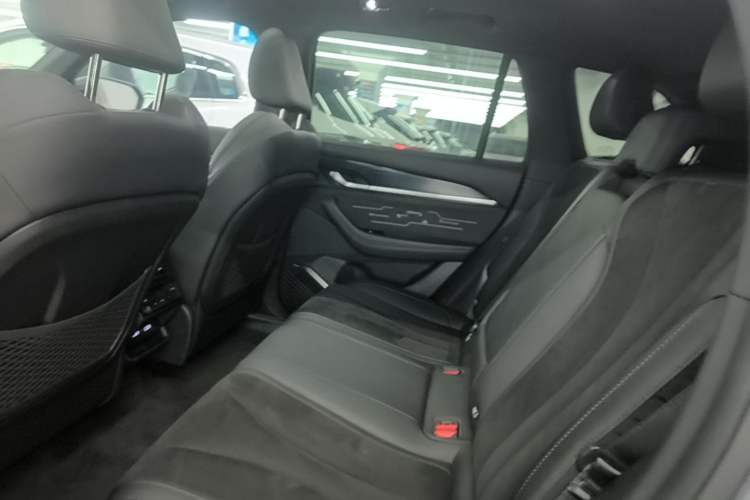 Used Geely Auto Monjaro L 2024 2.0TD High-Power Automatic Two-Wheel Drive Skyline Edition Left Rear Seat