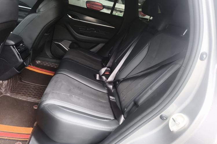 Used Geely Auto Monjaro L 2024 2.0TD High-Power Automatic Two-Wheel Drive Skyline Edition Left Rear Seat
