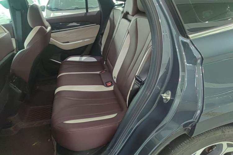 Used Geely Auto Monjaro L 2024 2.0TD High-Power Automatic Two-Wheel Drive Yunqi Version Left Rear Seat