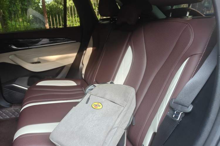 Used Geely Auto Monjaro L 2024 2.0TD High-Power Automatic Two-Wheel Drive Yunqi Version Left Rear Seat
