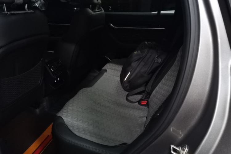 Used Geely Auto Monjaro L 2024 2.0TD High-Power Automatic Two-Wheel Drive Skyline Edition Left Rear Seat
