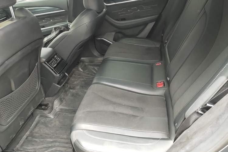 Used Geely Auto Monjaro L 2024 2.0TD High-Power Automatic Two-Wheel Drive Skyline Edition Left Rear Seat