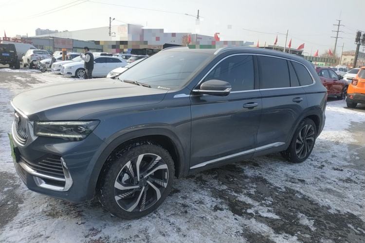 Used Geely Auto Monjaro L 2024 2.0TD High-Power Automatic Two-Wheel Drive Skyline Edition Left Side