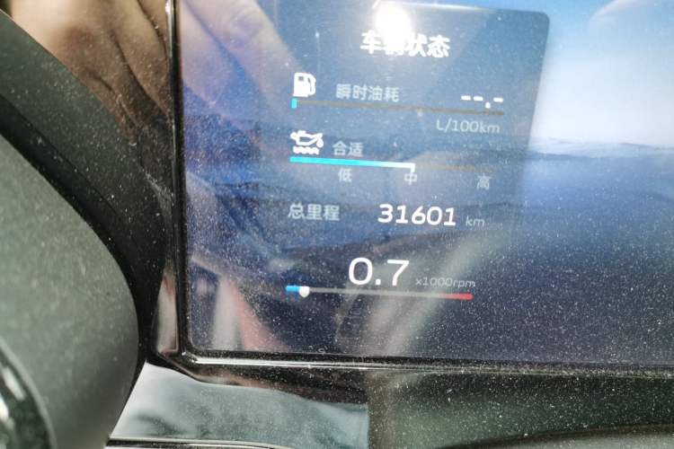 Used Geely Auto Monjaro L 2024 2.0TD High-Power Automatic Two-Wheel Drive Skyline Edition Odometer Close Up