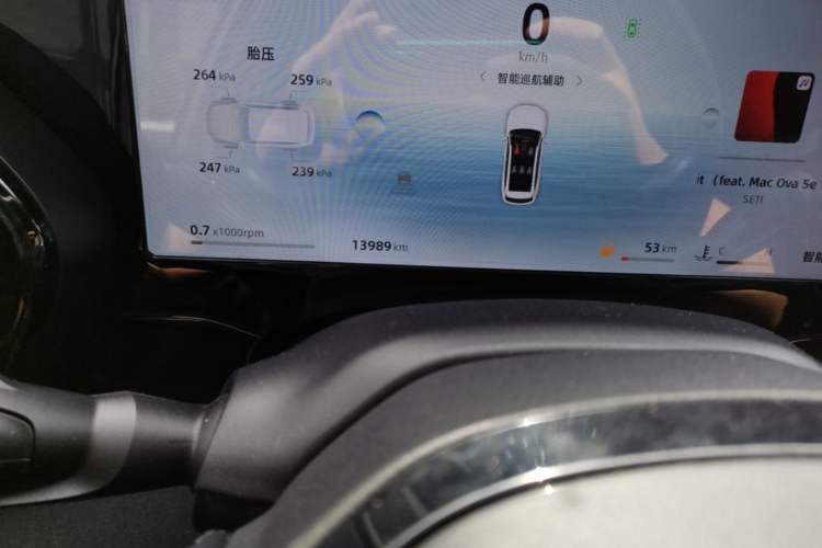 Used Geely Auto Monjaro L 2024 2.0TD High-Power Automatic Two-Wheel Drive Skyline Edition Odometer Close Up