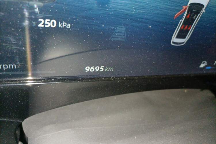 Used Geely Auto Monjaro L 2024 2.0TD High-Power Automatic Two-Wheel Drive Skyline Edition Odometer Close Up