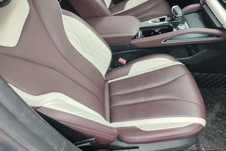 Used Geely Auto Monjaro L 2024 2.0TD High-Power Automatic Two-Wheel Drive Yunqi Version Right Front Seat