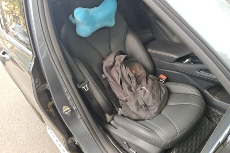 Used Geely Auto Monjaro L 2024 2.0TD DCT EVO Two-Wheel Drive Long-Range Version Right Front Seat