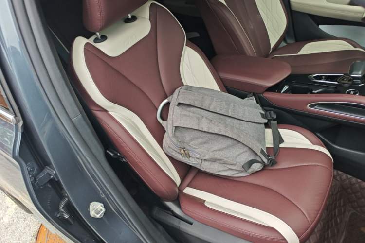 Used Geely Auto Monjaro L 2024 2.0TD High-Power Automatic Two-Wheel Drive Skyline Edition Right Front Seat