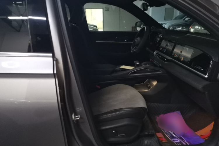 Used Geely Auto Monjaro L 2024 2.0TD High-Power Automatic Two-Wheel Drive Skyline Edition Right Front Seat