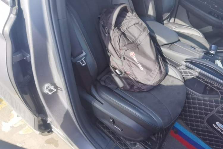 Used Geely Auto Monjaro L 2024 2.0TD High-Power Automatic Two-Wheel Drive Skyline Edition Right Front Seat