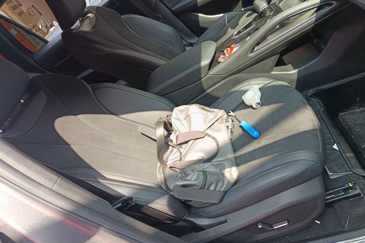 Used Geely Auto Monjaro L 2024 2.0TD High-Power Automatic Two-Wheel Drive Skyline Edition Right Front Seat
