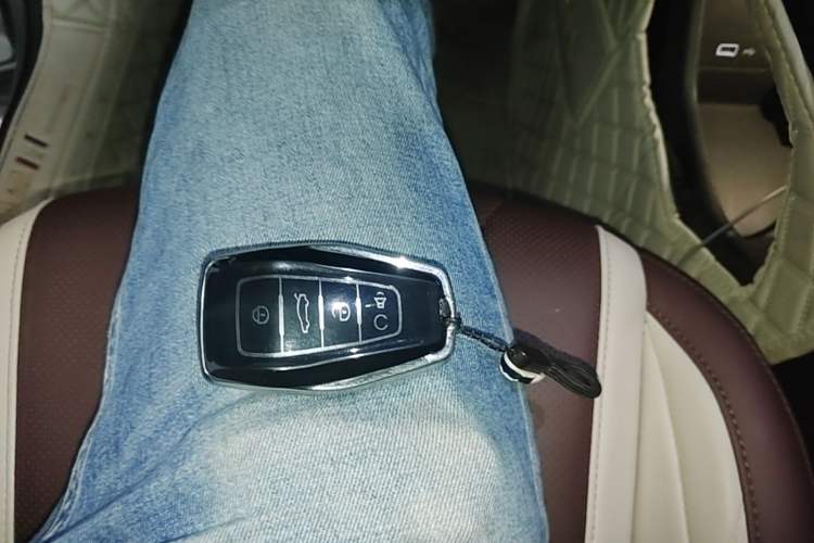 Used Geely Auto Monjaro L 2024 2.0TD High-Power Automatic Two-Wheel Drive Yunqi Version Vehicle Key