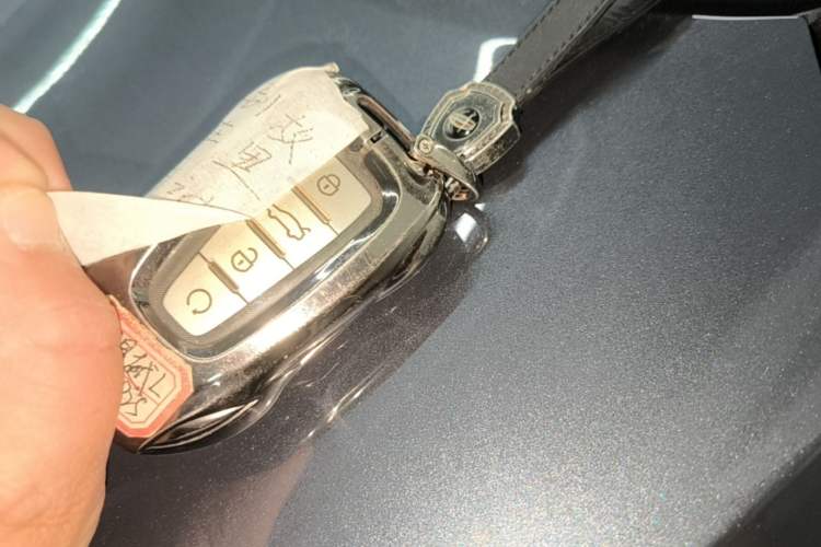 Used Geely Auto Monjaro L 2024 2.0TD High-Power Automatic Two-Wheel Drive Skyline Edition Vehicle Key