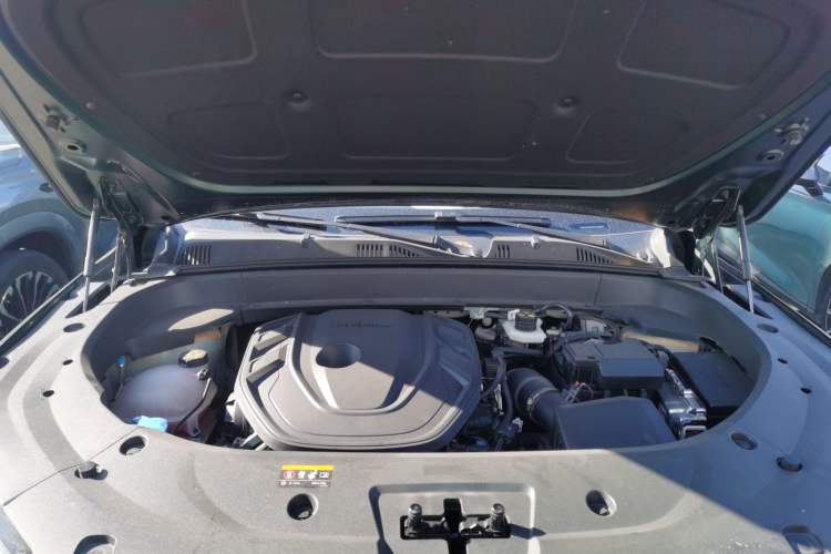 Used Geely Auto Monjaro L 2024 2.0TD High-Power Automatic Two-Wheel Drive Skyline Edition Engine Bay