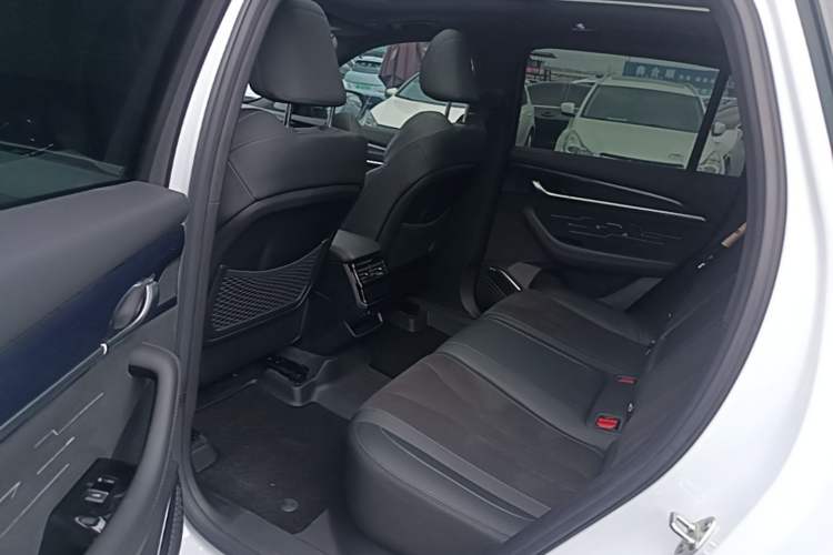 Used Geely Auto Monjaro L 2024 2.0TD High-Power Automatic Two-Wheel Drive Skyline Edition Left Rear Seat
