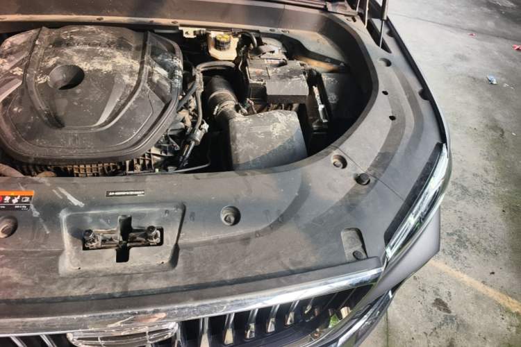 Used Geely Auto Monjaro L 2024 2.0TD High-Power Automatic Two-Wheel Drive Yunqi Version Engine Bay Left