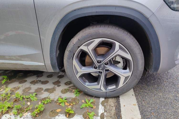 Used Geely Auto Monjaro L 2024 2.0TD DCT EVO Two-Wheel Drive Long-Range Version Exterior 4