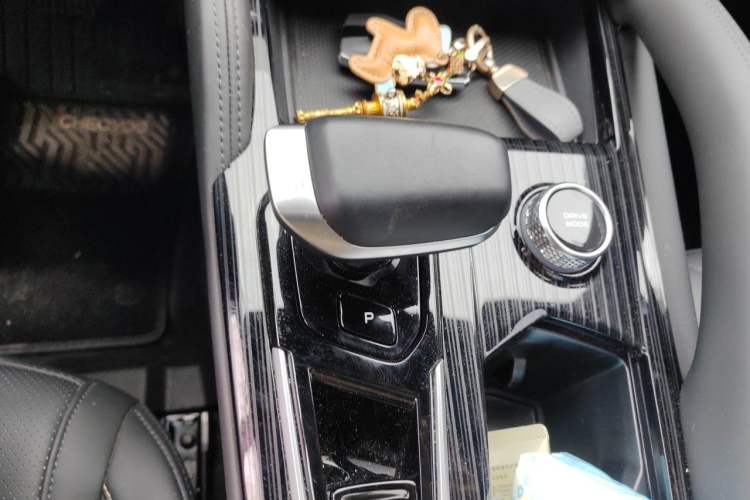 Used Geely Auto Monjaro L 2024 2.0TD DCT EVO Two-Wheel Drive Long-Range Version Gear Lever
