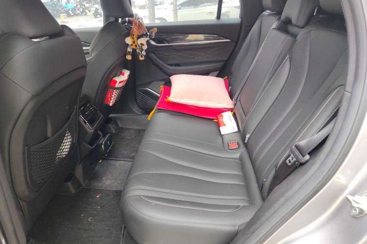 Used Geely Auto Monjaro L 2024 2.0TD DCT EVO Two-Wheel Drive Long-Range Version Left Rear Seat