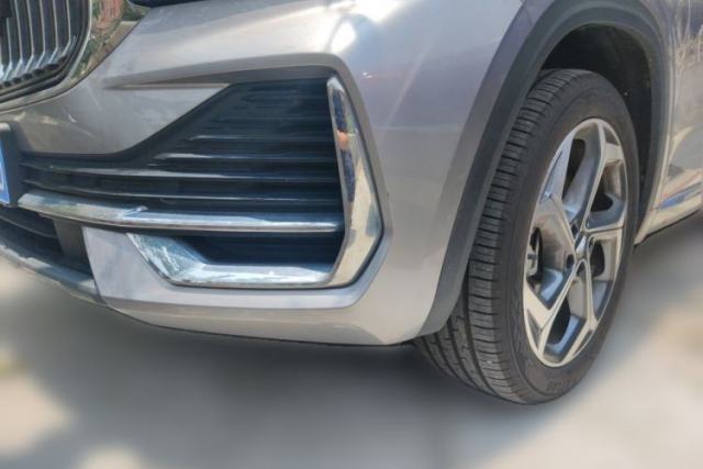 Used Geely Auto Monjaro L 2024 2.0TD DCT EVO Two-Wheel Drive Long-Range Version