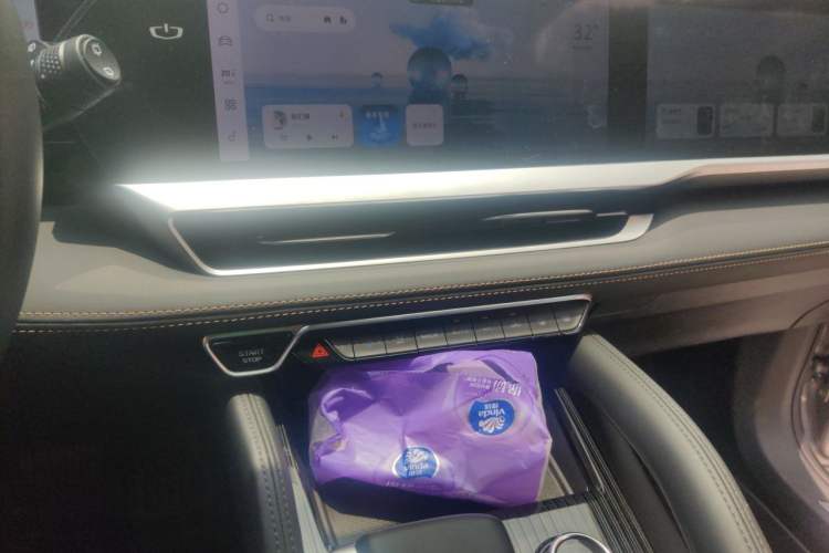 Used Geely Auto Monjaro L 2024 2.0TD DCT EVO Two-Wheel Drive Long-Range Version Audio And AC Panel