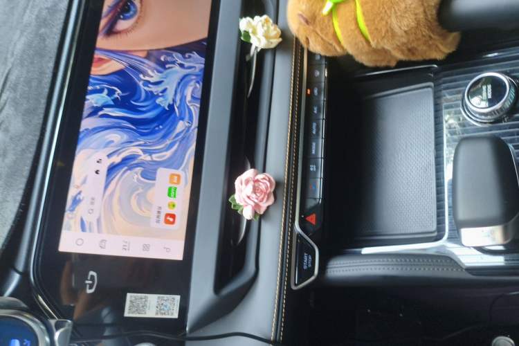Used Geely Auto Monjaro L 2024 2.0TD DCT EVO Two-Wheel Drive Long-Range Version Audio And AC Panel