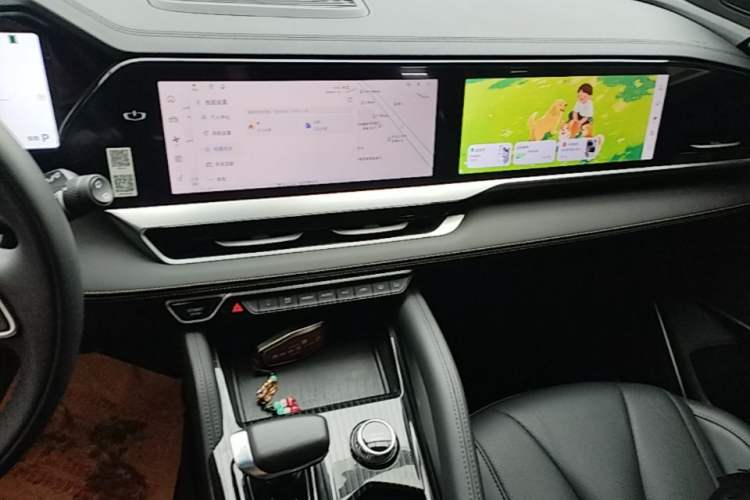 Used Geely Auto Monjaro L 2024 2.0TD DCT EVO Two-Wheel Drive Long-Range Version Audio And AC Panel