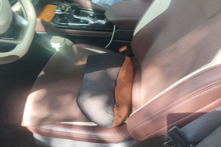 Used Geely Auto Monjaro L 2024 2.0TD High-Power Automatic Two-Wheel Drive Yunqi Version Driver Seat