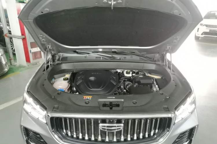 Used Geely Auto Monjaro L 2024 2.0TD High-Power Automatic Two-Wheel Drive Skyline Edition Engine Bay