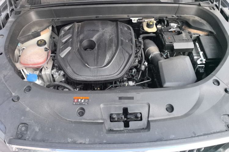 Used Geely Auto Monjaro L 2024 2.0TD High-Power Automatic Two-Wheel Drive Yunqi Version Engine Bay