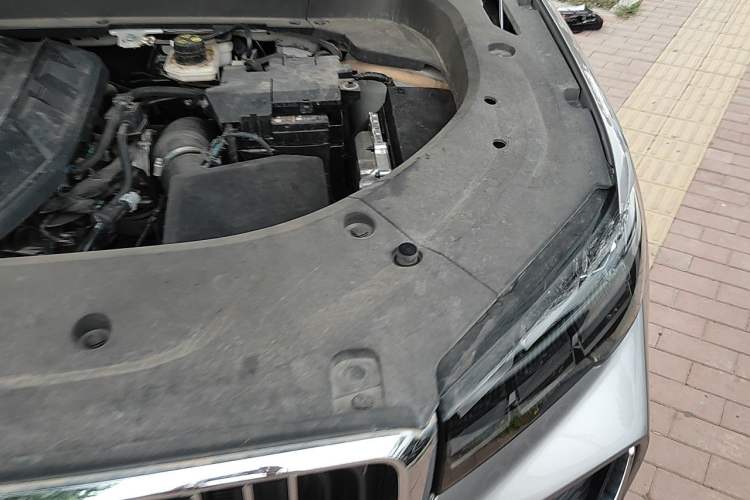 Used Geely Auto Monjaro L 2024 2.0TD DCT EVO Two-Wheel Drive Long-Range Version Engine Bay Left
