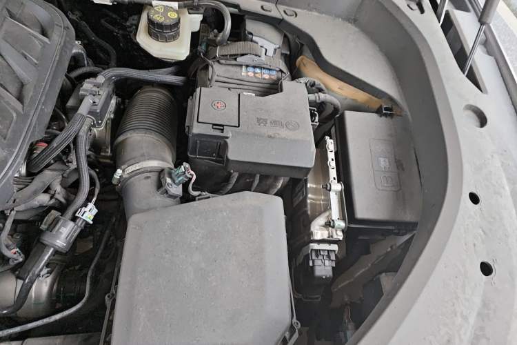 Used Geely Auto Monjaro L 2024 2.0TD High-Power Automatic Two-Wheel Drive Skyline Edition Engine Bay Left