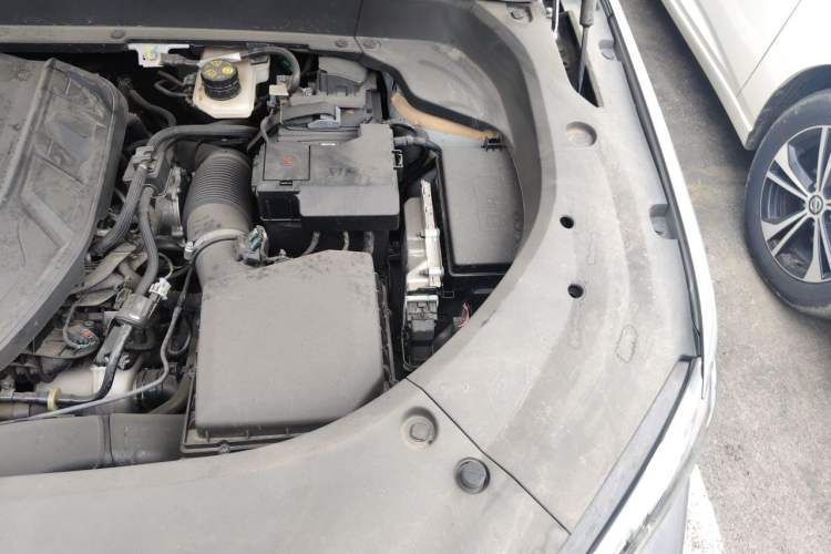 Used Geely Auto Monjaro L 2024 2.0TD High-Power Automatic Two-Wheel Drive Skyline Edition Engine Bay Left