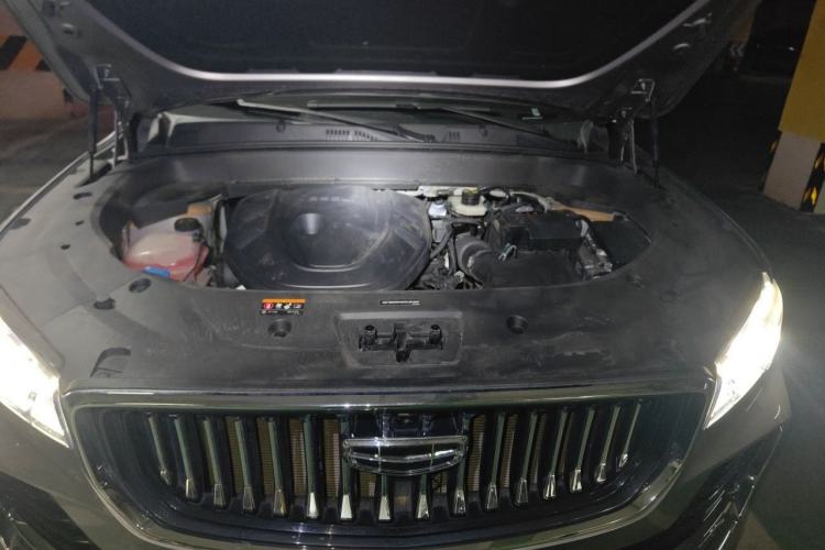 Used Geely Auto Monjaro L 2024 2.0TD High-Power Automatic Two-Wheel Drive Skyline Edition Engine Bay