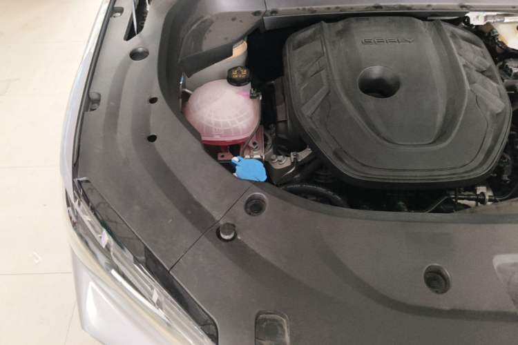 Used Geely Auto Monjaro L 2024 2.0TD DCT EVO Two-Wheel Drive Long-Range Version Engine Bay Right