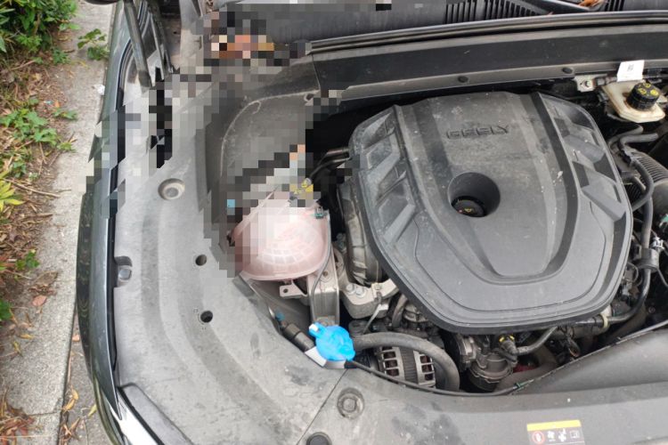 Used Geely Auto Monjaro L 2024 2.0TD High-Power Automatic Two-Wheel Drive Skyline Edition Engine Bay Right