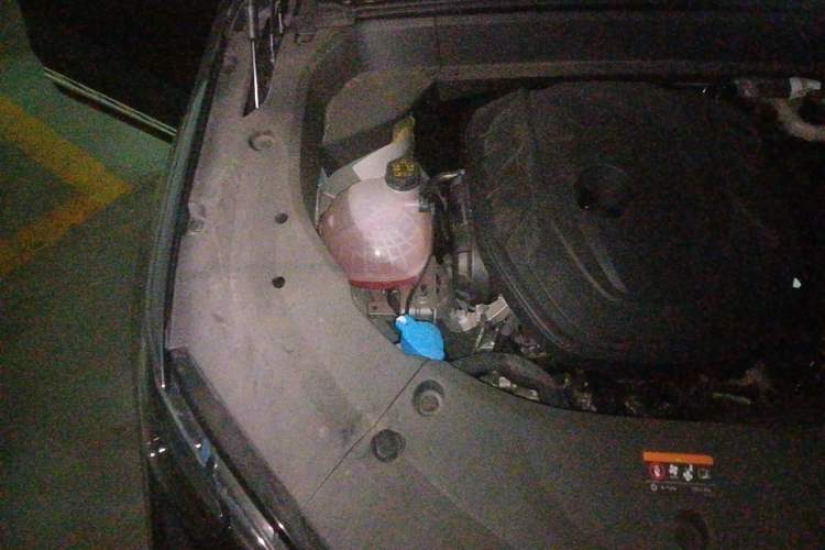 Used Geely Auto Monjaro L 2024 2.0TD High-Power Automatic Two-Wheel Drive Yunqi Version Engine Bay Right