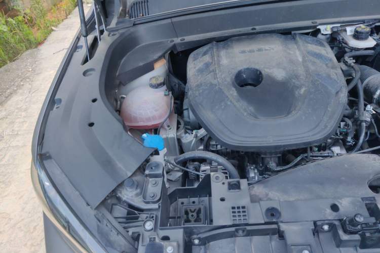 Used Geely Auto Monjaro L 2024 2.0TD DCT EVO Two-Wheel Drive Long-Range Version Engine Bay Right