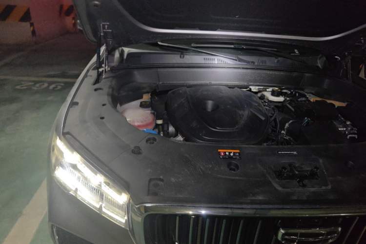 Used Geely Auto Monjaro L 2024 2.0TD High-Power Automatic Two-Wheel Drive Skyline Edition Engine Bay Right