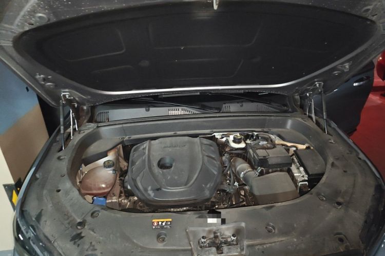 Used Geely Auto Monjaro L 2024 2.0TD High-Power Automatic Two-Wheel Drive Skyline Edition Engine Bay