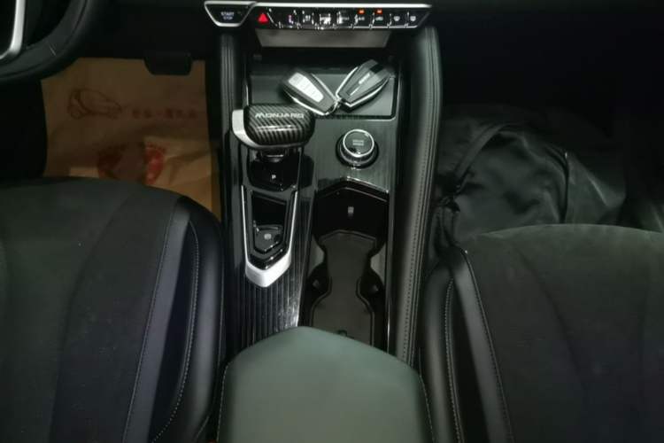 Used Geely Auto Monjaro L 2024 2.0TD High-Power Automatic Two-Wheel Drive Skyline Edition Gear Lever