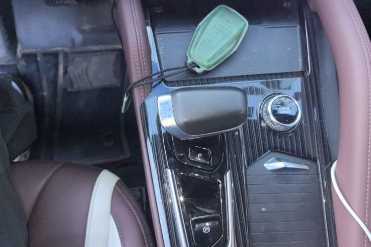 Used Geely Auto Monjaro L 2024 2.0TD High-Power Automatic Two-Wheel Drive Yunqi Version Gear Lever