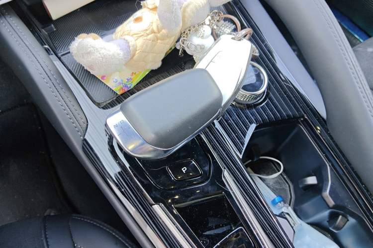 Used Geely Auto Monjaro L 2024 2.0TD High-Power Automatic Two-Wheel Drive Skyline Edition Gear Lever