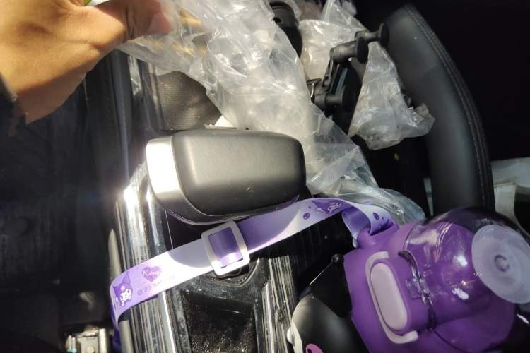 Used Geely Auto Monjaro L 2024 2.0TD DCT EVO Two-Wheel Drive Long-Range Version Gear Lever