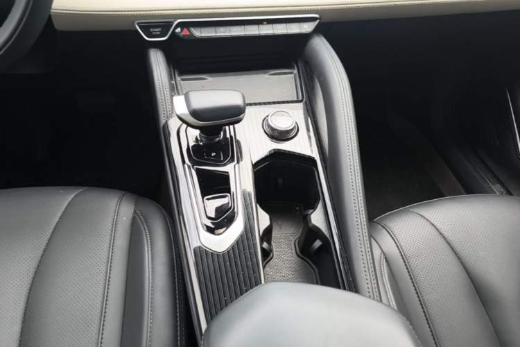 Used Geely Auto Monjaro L 2024 2.0TD High-Power Automatic Two-Wheel Drive Skyline Edition Gear Lever