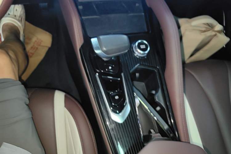 Used Geely Auto Monjaro L 2024 2.0TD High-Power Automatic Two-Wheel Drive Yunqi Version Gear Lever