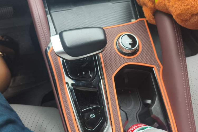 Used Geely Auto Monjaro L 2024 2.0TD High-Power Automatic Two-Wheel Drive Skyline Edition Gear Lever