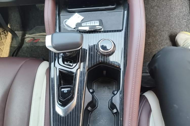 Used Geely Auto Monjaro L 2024 2.0TD High-Power Automatic Two-Wheel Drive Yunqi Version Gear Lever